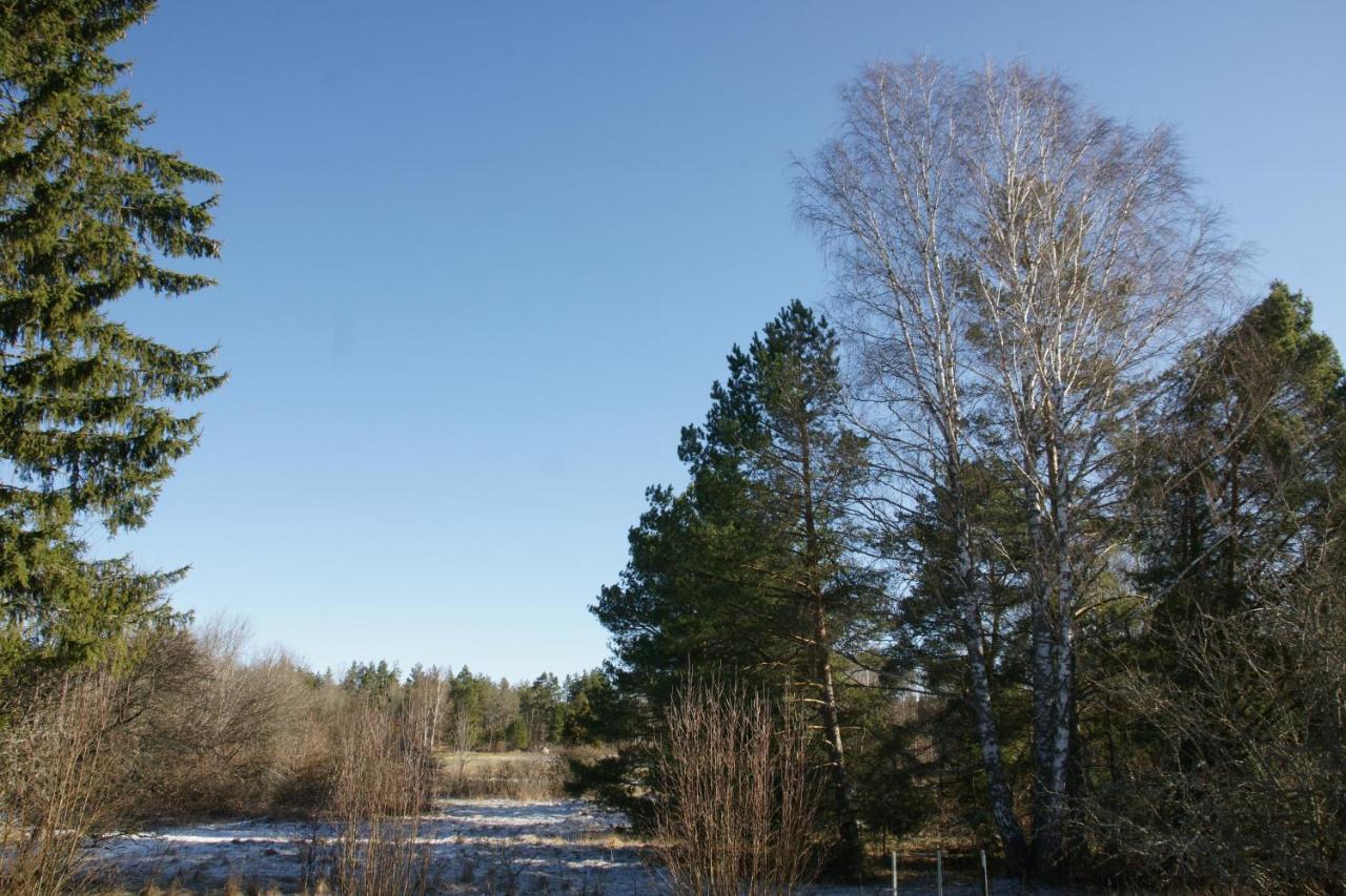 Bjoerkholm - Villa In Malilla Luaran gambar